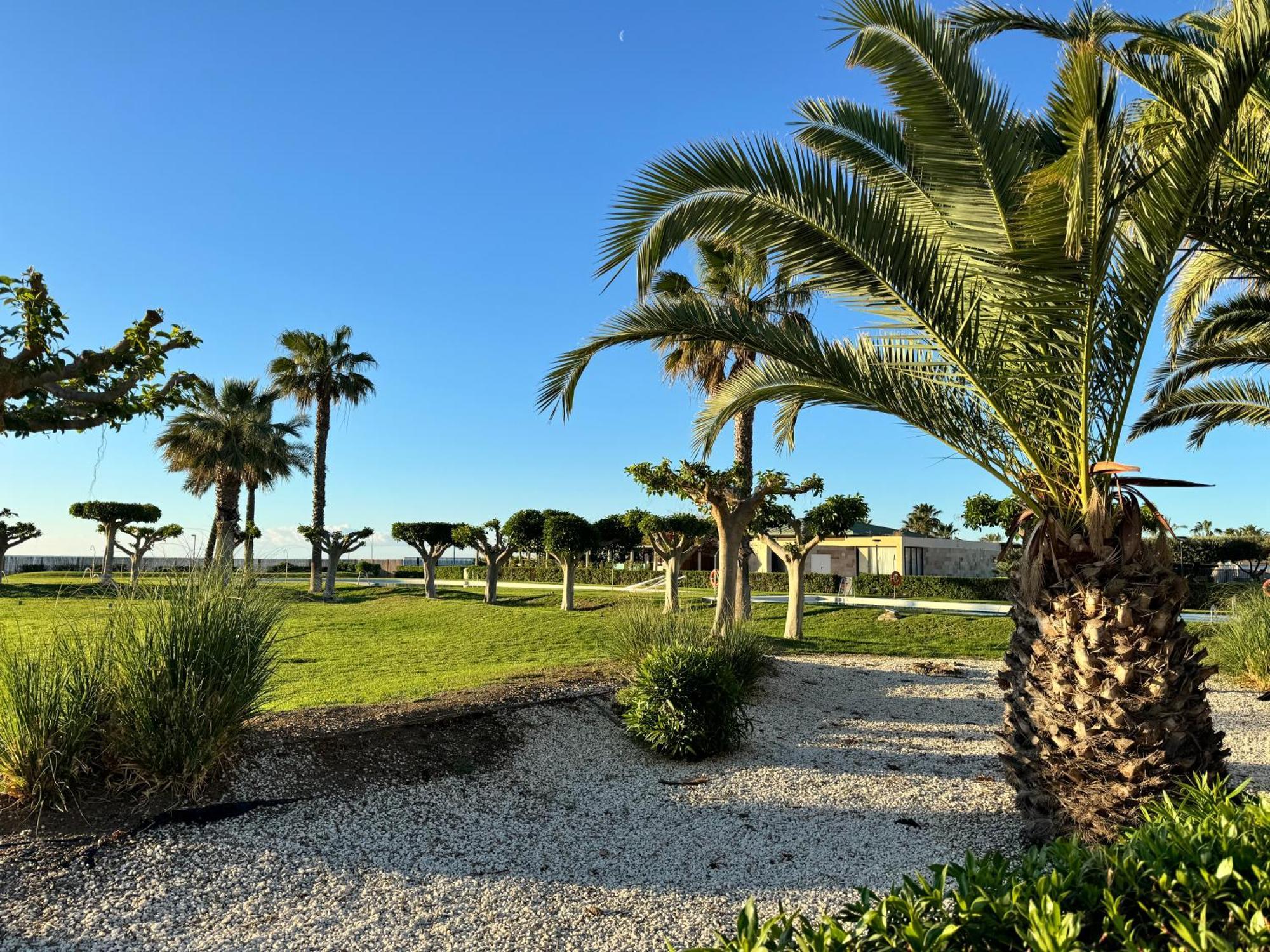 Playa Vera